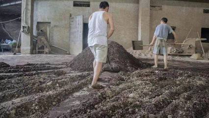 茅臺硅茅酒零售價與旅游開發(fā)項目策劃咨詢